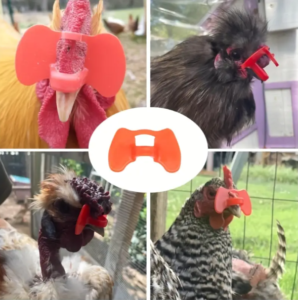 Poultry blinders large closed without pin, 20pcs