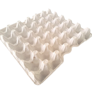 30 units egg tray